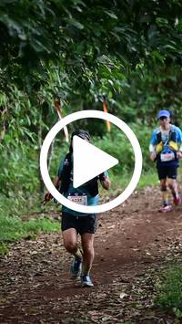 BIB:  <button type="button" onclick="openModal(27291279)" class="btn btn-primary btn-sm float-right" data-toggle="modal" data-target=".modal-high-quality">
                <i class="fa fa-download"></i> Download
                </button>